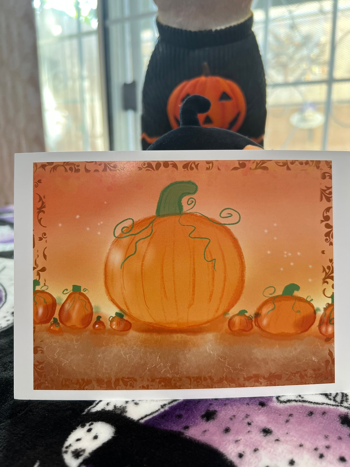 Pumpkin Patch