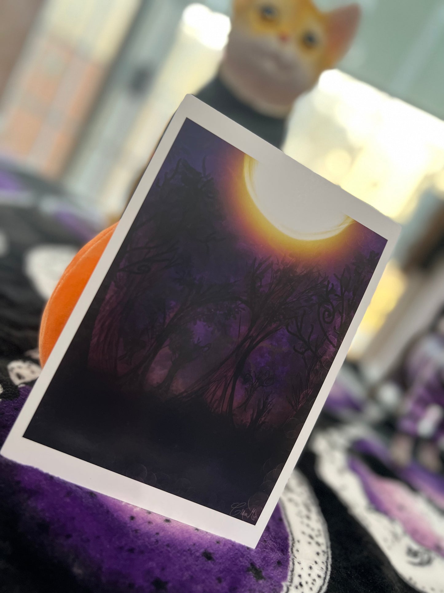Spooky Forest